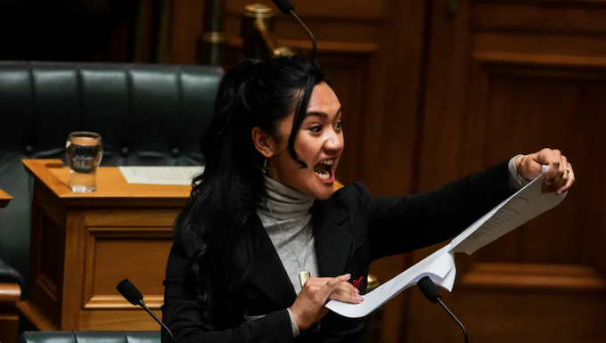 Te Pāti Māori MP Hana-Rawhiti Maipa-Clarke led a haka in Parliament after the first reading of the Treaty Principles Bill