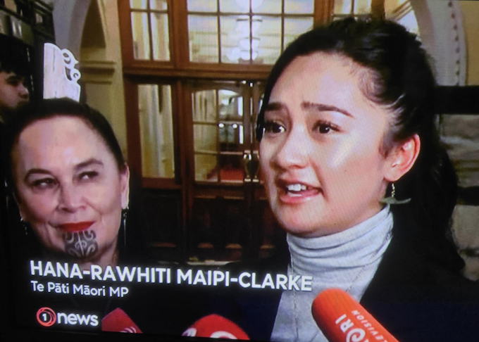 Te Pāti Māori MP Hana-Rawhiti Maipi-Clarke