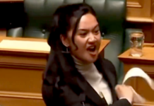 Te Pāti Māori's Hana-Rāwhiti Maipi-Clarke is Aotearoa’s youngest MP since 1853 and is seen as representing the "kohanga reo" generation of young Māori