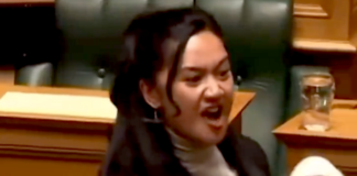 Te Pāti Māori's Hana-Rāwhiti Maipi-Clarke is Aotearoa’s youngest MP since 1853 and is seen as representing the "kohanga reo" generation of young Māori