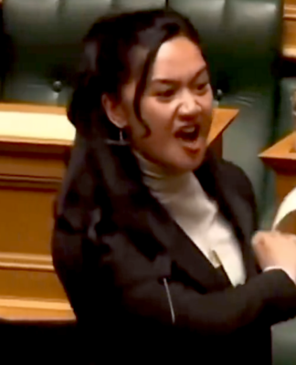 Te Pāti Māori's Hana-Rāwhiti Maipi-Clarke is Aotearoa’s youngest MP since 1853 and is seen as representing the "kohanga reo" generation of young Māori