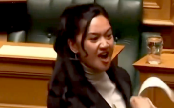 Te Pāti Māori's Hana-Rāwhiti Maipi-Clarke is Aotearoa’s youngest MP since 1853 and is seen as representing the "kohanga reo" generation of young Māori