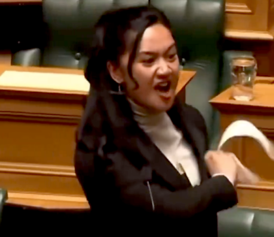 Te Pāti Māori's Hana-Rāwhiti Maipi-Clarke is Aotearoa’s youngest MP since 1853 and is seen as representing the "kohanga reo" generation of young Māori