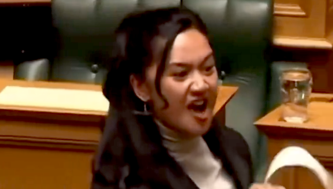 Te Pāti Māori's Hana-Rāwhiti Maipi-Clarke is Aotearoa’s youngest MP since 1853 and is seen as representing the "kohanga reo" generation of young Māori