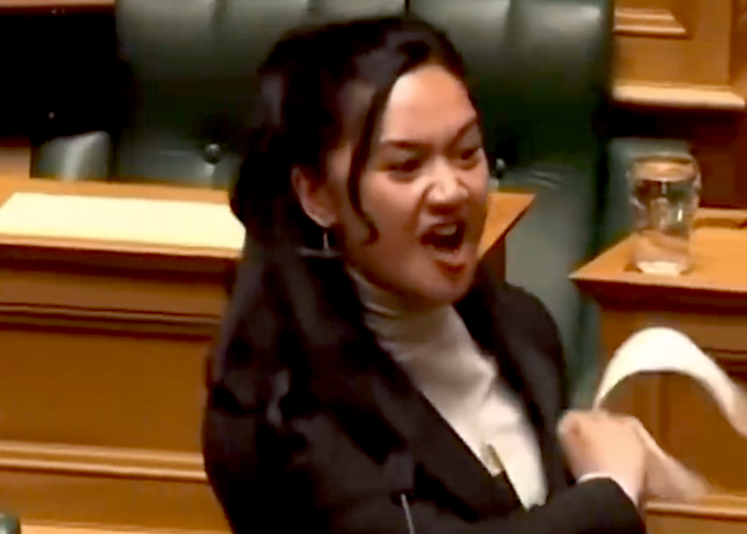 Te Pāti Māori's Hana-Rāwhiti Maipi-Clarke is Aotearoa’s youngest MP since 1853 and is seen as representing the "kohanga reo" generation of young Māori