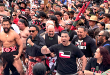 Police estimate 42,000 people participated in the Wellington leg of the hīkoi