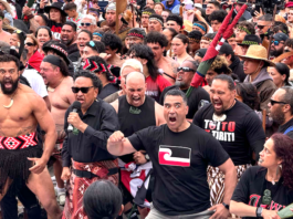 Police estimate 42,000 people participated in the Wellington leg of the hīkoi