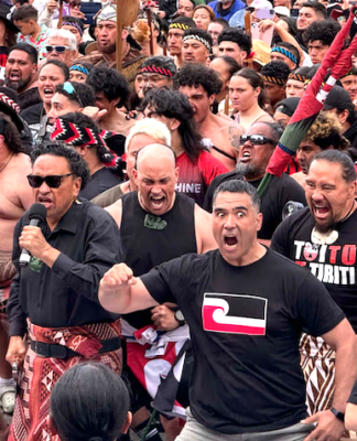 Police estimate 42,000 people participated in the Wellington leg of the hīkoi