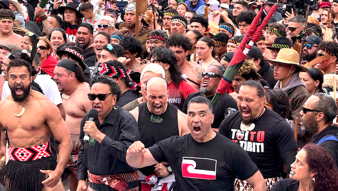 Police estimate 42,000 people participated in the Wellington leg of the hīkoi