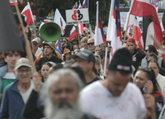 Te Hīkoi mō te Tiriti Day 2