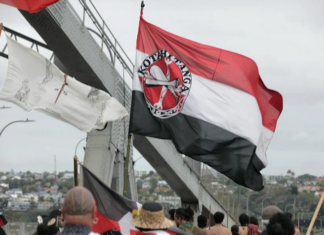 Thousands of people have streamed across the Auckland Harbour Bridge