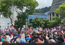 HĪkoi at outside the parliamentary Beehive today