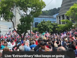 HĪkoi at outside the parliamentary Beehive today