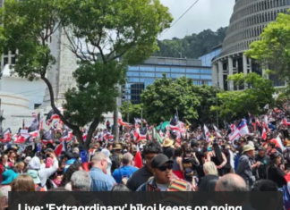 HĪkoi at outside the parliamentary Beehive today