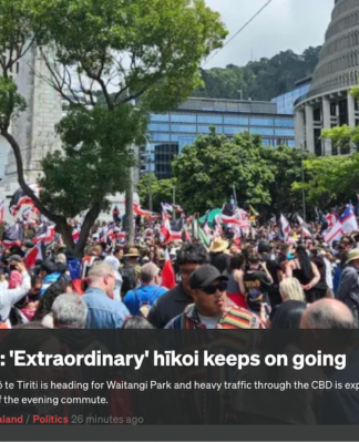 HĪkoi at outside the parliamentary Beehive today