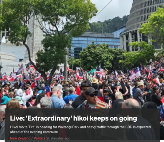 HĪkoi at outside the parliamentary Beehive today