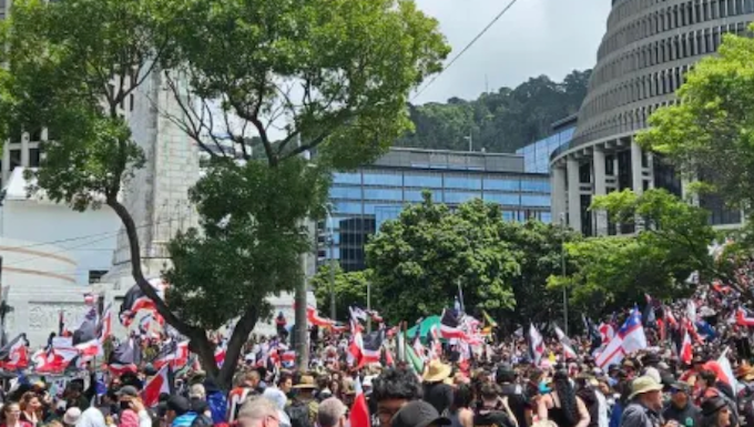 HĪkoi at outside the parliamentary Beehive today