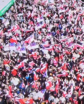 NZ’s Hīkoi challenging controversial draft bill ‘redefines activism’, says Herald Hīkoi mō te Tiriti