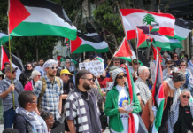 A New Zealand protest over the Gaza genocide