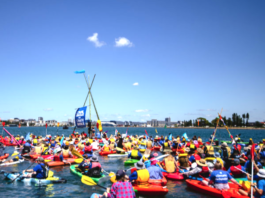 The Newcastle coal port 24-hour blockade protest 2023