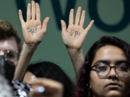 A protester at COP29 calls on wealthy nations to "pay up"