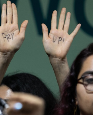 A protester at COP29 calls on wealthy nations to "pay up"