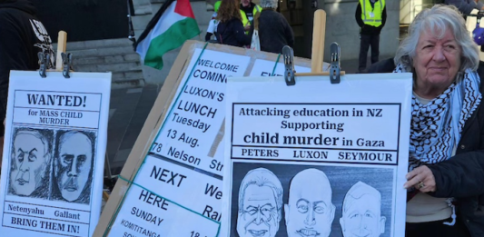 A "Netanyahu wanted for child killing" placard at a Palestine solidarity rally in Auckland this month