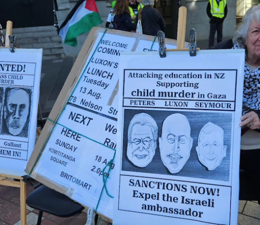 A "Netanyahu wanted for child killing" placard at a Palestine solidarity rally in Auckland this month