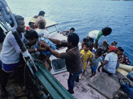 Rainbow Warrior crew help Rongelap islanders