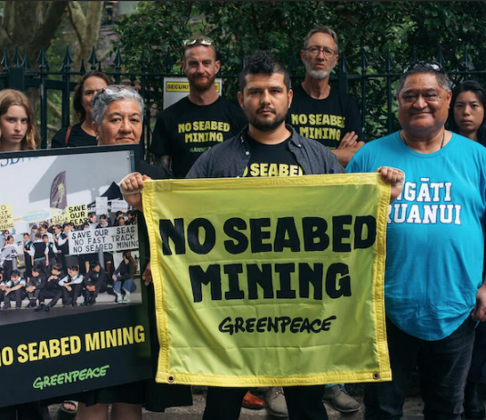 Greenpeace activists, along with representatives of Taranaki iwi Ngāti Ruanui, disrupted the annual general meeting of Manuka Resources