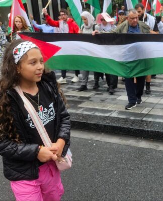 This year, Arab-American political power came to the fore over Gaza Arab New Zealanders have been increasingly articulate in Aotearoa