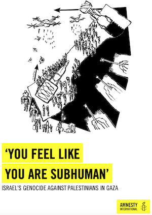 "You feel like you are subhuman" - the Amnesty International genocide report