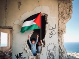 The world must acknowledge the steadfast resistance of Palestinians