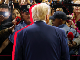 President Donald Trump