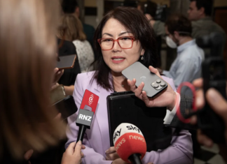Former Ethnic Communities Minister Melissa Lee