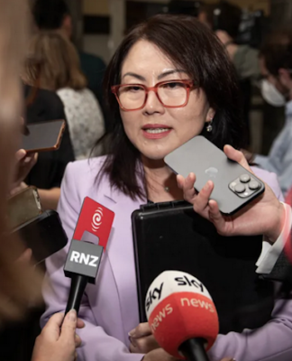 Ethnic community leaders slam Lee’s removal from diversity portfolio Former Ethnic Communities Minister Melissa Lee