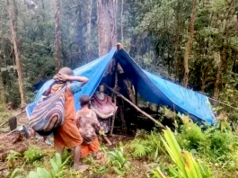 Displaced Oksop villagers in West Papua