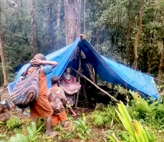 Displaced Oksop villagers in West Papua