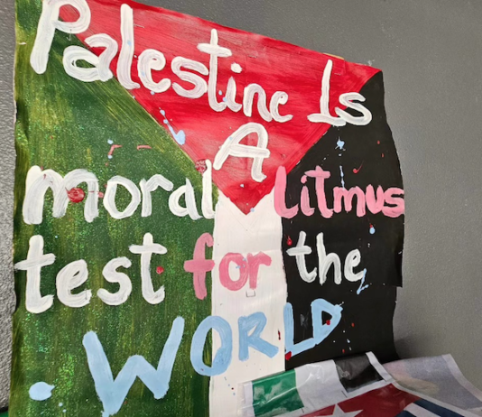 Palestine - "a moral litmus test for the world"