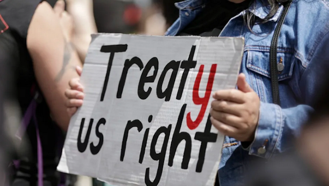 Descendants of NZ’s Waitangi Treaty translators speak out against bill Te Tiriti o Waitangi