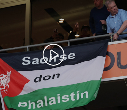 Irish popular support for a free Palestine remains strong