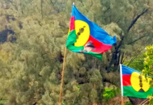 The main goal was to resume the political process in New Caledonia