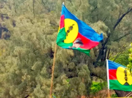 The main goal was to resume the political process in New Caledonia