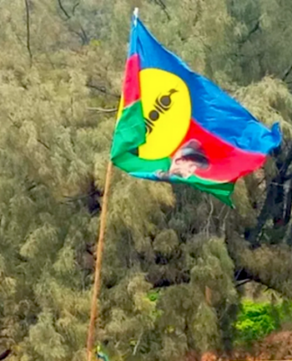 The main goal was to resume the political process in New Caledonia