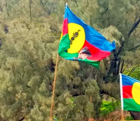 The main goal was to resume the political process in New Caledonia