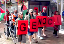 Protesters against Israeli genocide in Nelson today