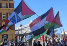 A pro-Palestine rally in Auckland's Te Komititanga Square