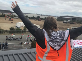 New Zealand protesters scale Christchurch arms company building accused over supplying sniper scopes