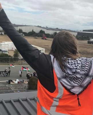 New Zealand protesters scale Christchurch arms company building accused over supplying sniper scopes