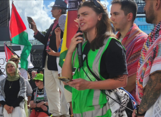 Green Party co-leader Chlöe Swarbrick